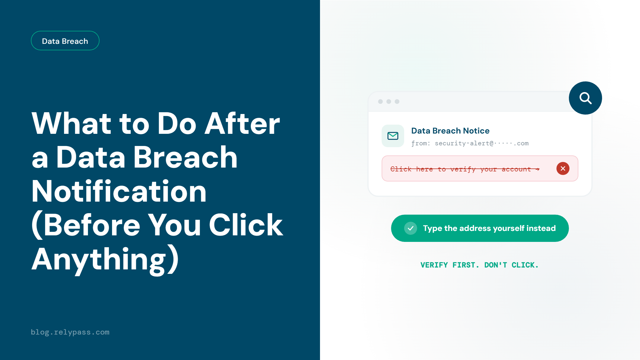 what to do after a data breach notification